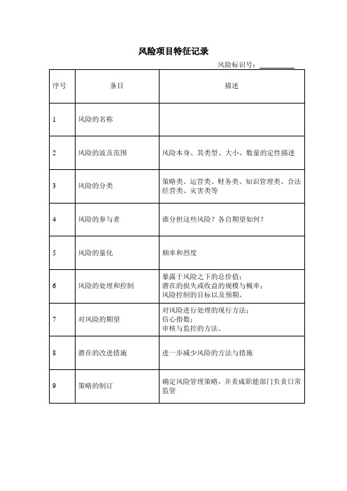 风险项目描述表