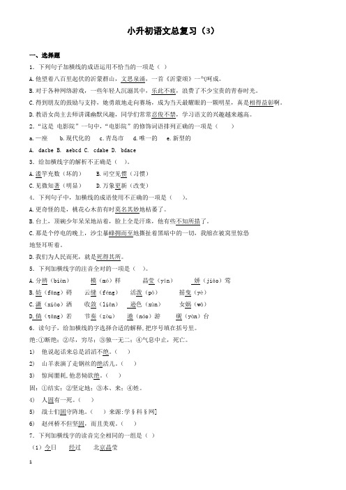 (2018版)语文小升初知识专项训练复习试卷(有答案)(22页)