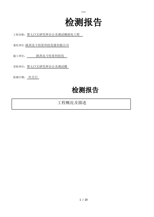 检测报告{作文类}
