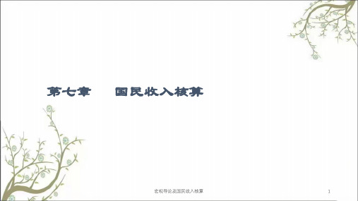 宏观导论及国民收入核算课件