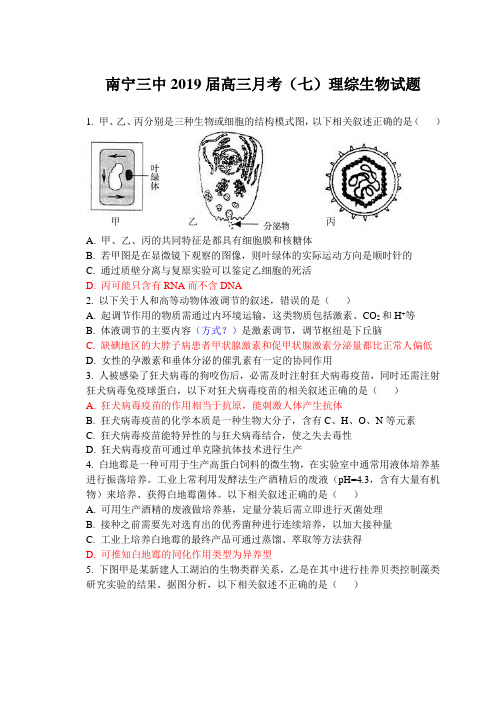 南宁三中2019届高三月考(七)理综生物试题