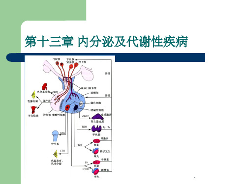 内分泌及代谢性疾病