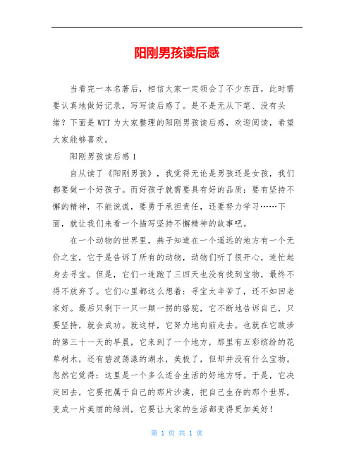 阳刚男孩读后感