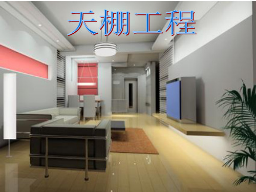 天棚工程