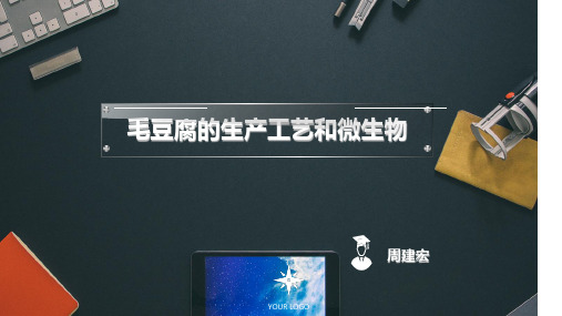 毛豆腐的生产工艺和微生物