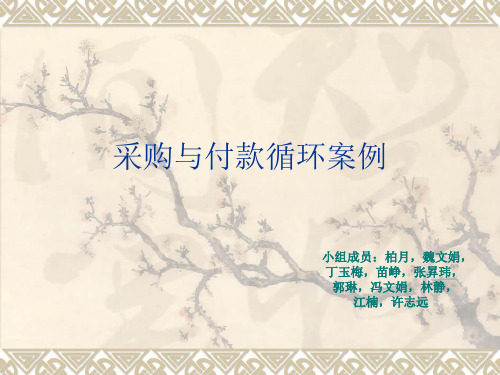 采购与付款循环案例