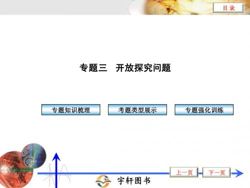 专题三 开放探究问题