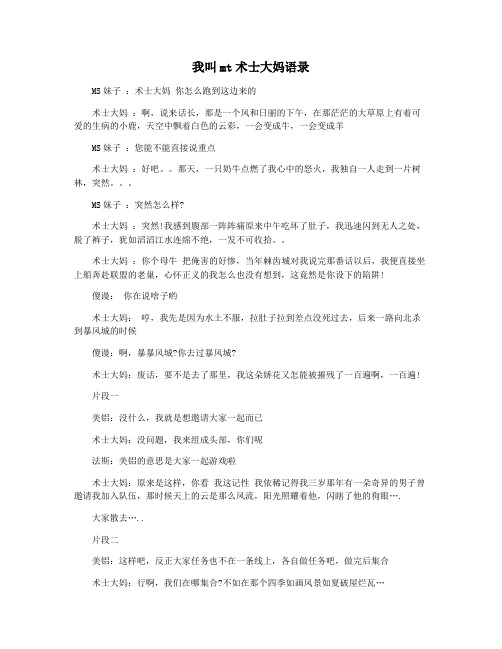 我叫mt术士大妈语录