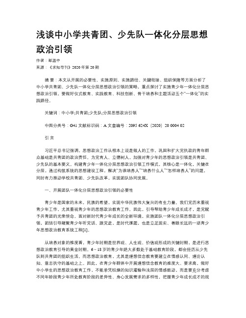 浅谈中小学共青团、少先队一体化分层思想政治引领