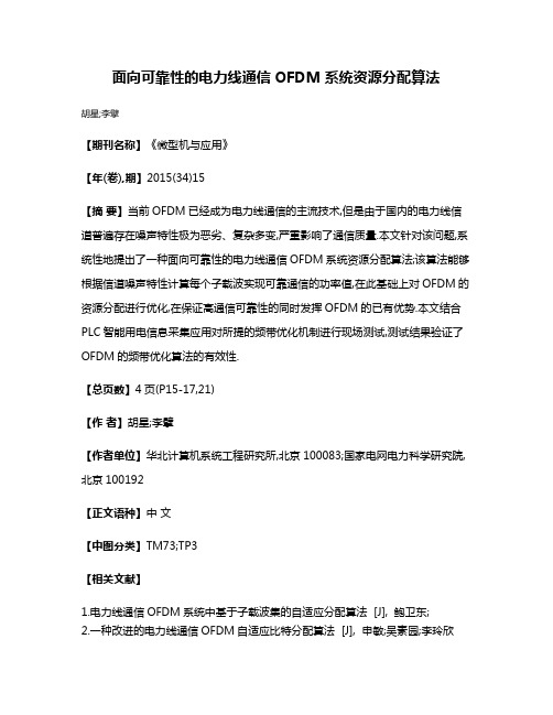 面向可靠性的电力线通信OFDM系统资源分配算法