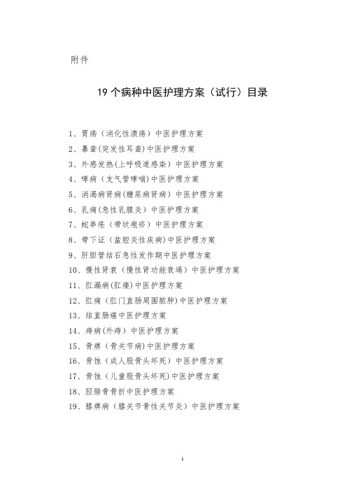 19个中医护理方案
