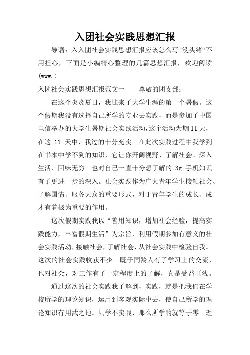 入团社会实践思想汇报_1