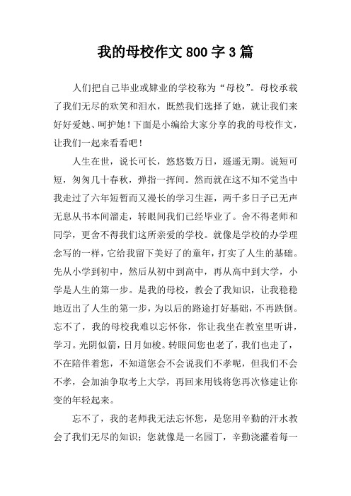 我的母校作文800字3篇