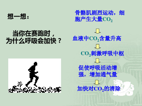 人体激素调节优质课