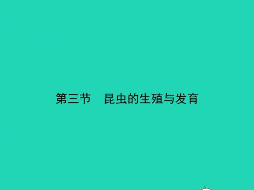 八年级生物下册8.21.3昆虫的生殖与发育习题课件(新版)苏教版
