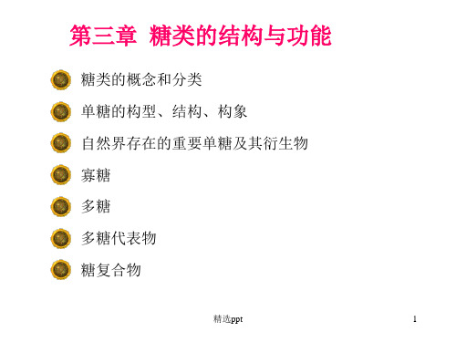 《糖类的结构与功能》PPT课件