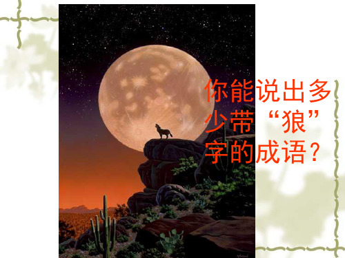 初中语文人教版(部编)七年级上册20 狼
