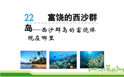 三年级语文上微课课件22.富饶的西沙群岛