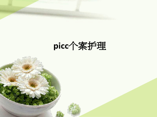 picc个案护理ppt课件