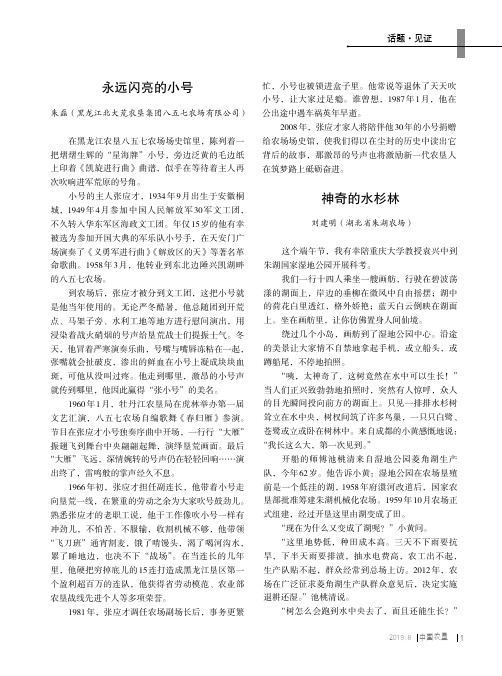 神奇的水杉林