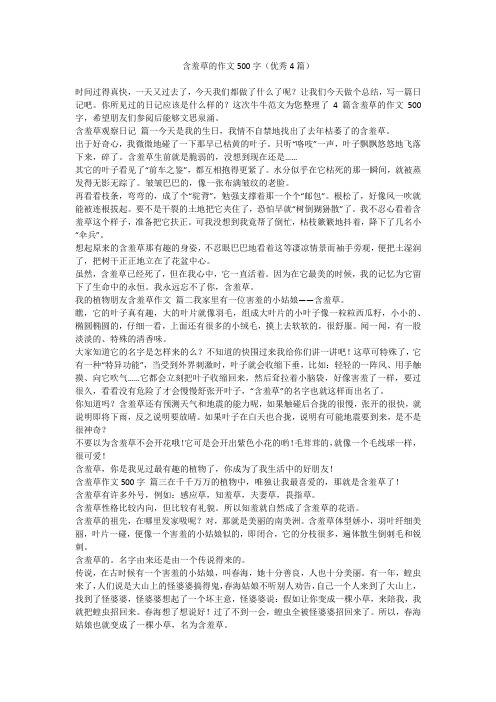 2023最新-含羞草的作文500字(优秀4篇)