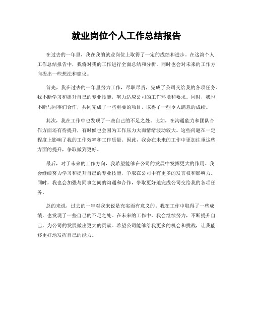 就业岗位个人工作总结报告