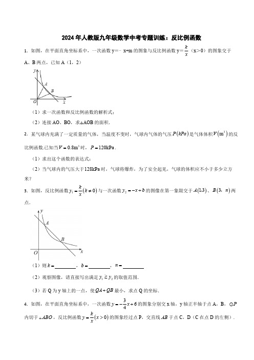 2024年人教版九年级数学中考专题训练：反比例函数(含解析)