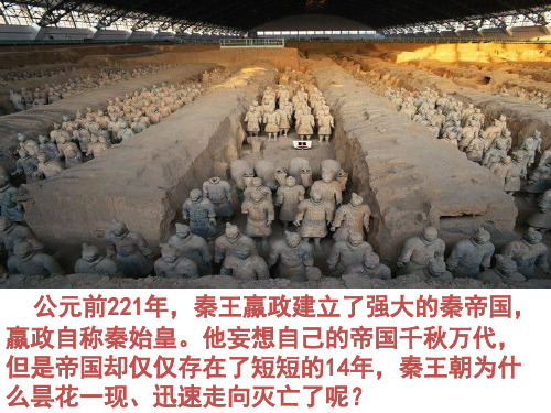 11 伐无道,诛暴秦