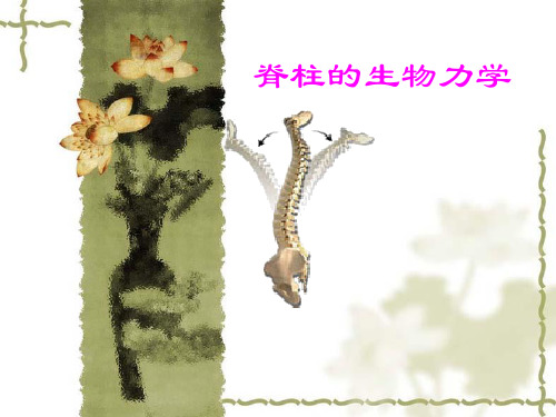 临床医学骨伤生物学-脊柱的生物力学