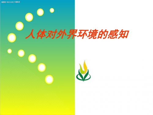 《人体对外界环境的感知》PPT课件