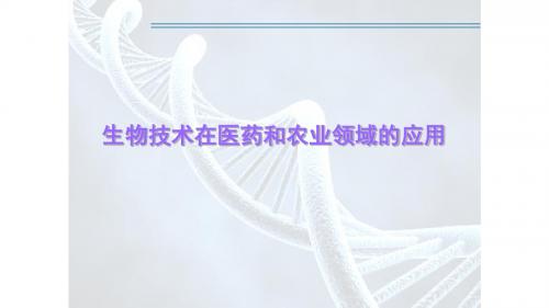 生物技术在医药和农业领域的应用ppt课件(新修订)
