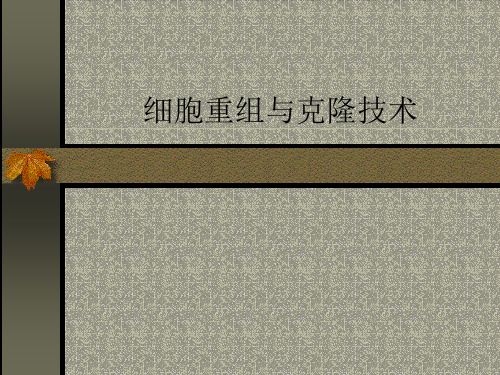 细胞重组与克隆技术