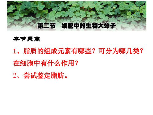 4脂质的种类及功能(PPT)
