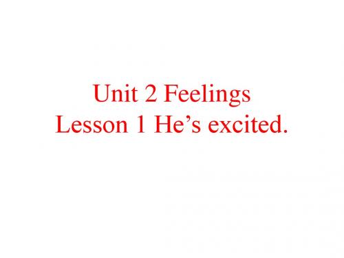 小学五年级英语上册 Unit 2 Lesson 1 He’s excited名师公开课省级获奖课件 鲁科版