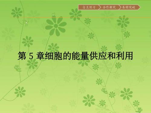 【金牌学案】人教版2015-2016学年高中生物必修一同步教学资料课件 5.1  降低化学反应活化能的酶