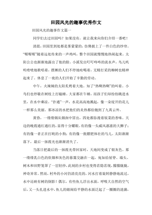 田园风光的趣事优秀作文.doc