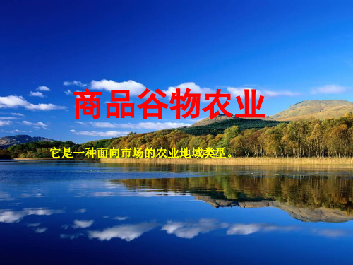 商品谷物农业