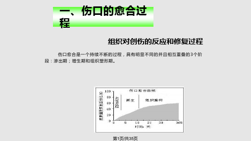 伤口换药技术PPT课件