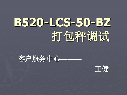 B520打包秤调试(王健)