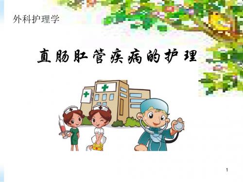 直肠肛管疾病病人的护理医学PPT课件