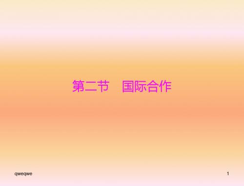 地理：5,2《国际合作》优化训练课件(湘教版七年级教学上)