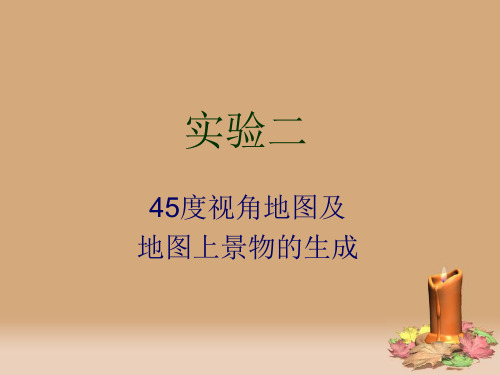 实验二 45度视角地图的生成