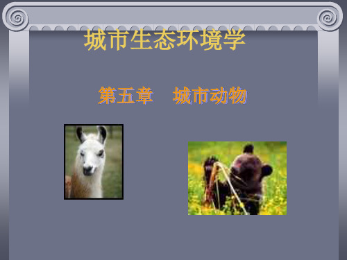 第五章 城市动物