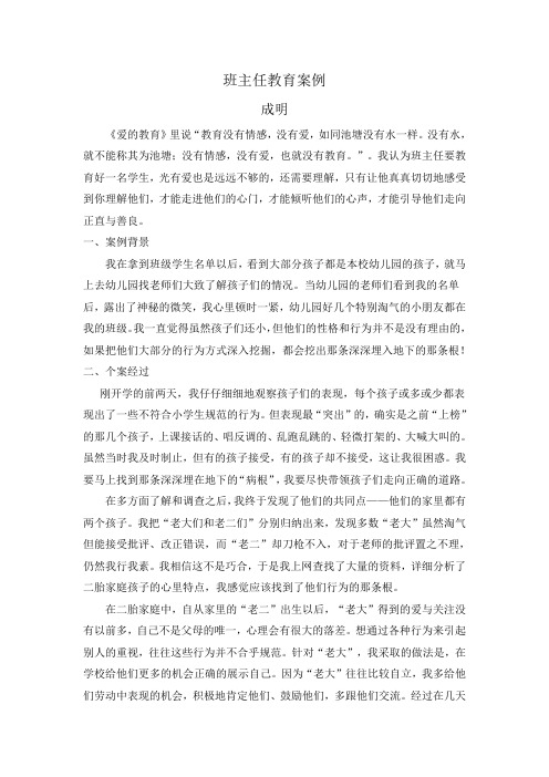 班主任教育案例——二胎家庭中成长的孩子