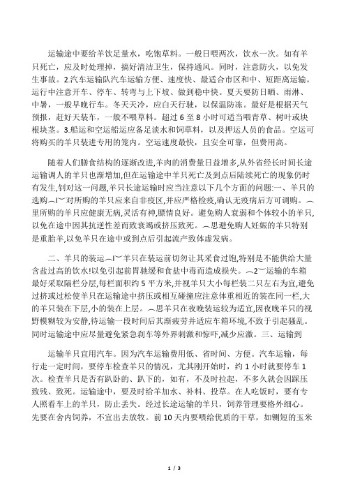 运输途中羊注意事项