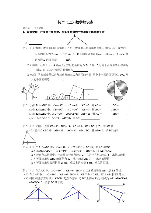 2013年秋八年级上期中复习《勾股定理》知识点及相关练习