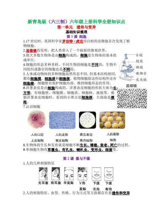 最新版青岛版小学科学六年级上册知识点汇总