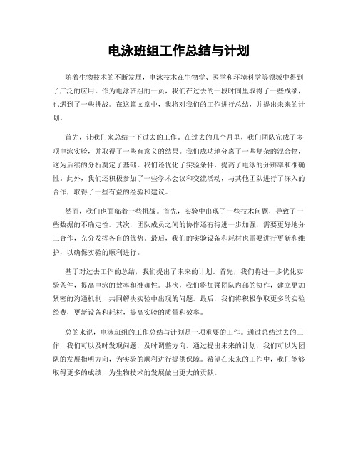 电泳班组工作总结与计划