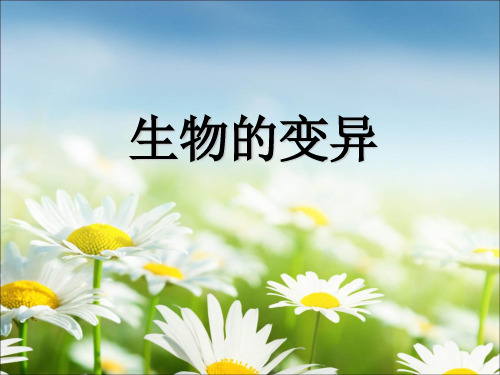 鲁教版八年级生物下册第八单元《生物圈中生命的延续和发展》第二章第五节《生物的变异》教学课件