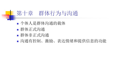 第十章   群体行为与沟通(《组织行为学》PPT课件)